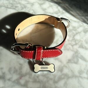 Coach Dog Collar - used once, comes with box.